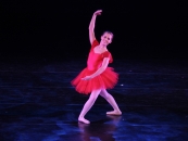 IMG_8039 IMG_8039