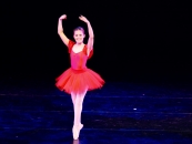 IMG_8058 IMG_8058