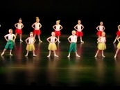 IMG_8074 IMG_8074